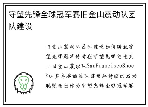 守望先锋全球冠军赛旧金山震动队团队建设