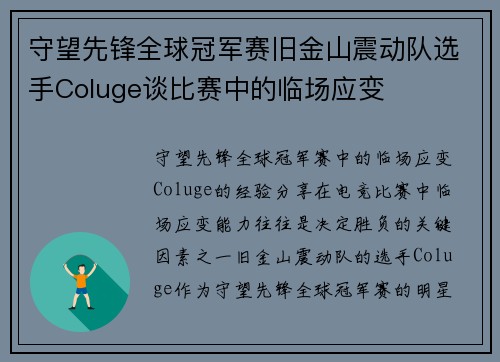 守望先锋全球冠军赛旧金山震动队选手Coluge谈比赛中的临场应变